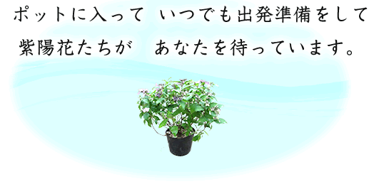 あなたを待っています