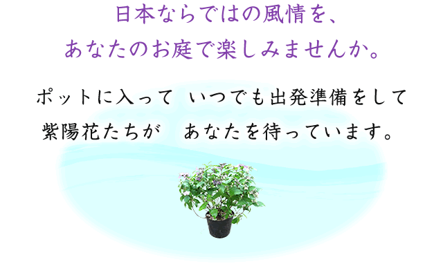 あなたを待っています