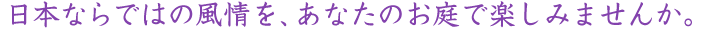 日本ならではの風情