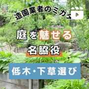 インスタグラム-5 庭を魅せる名脇役
