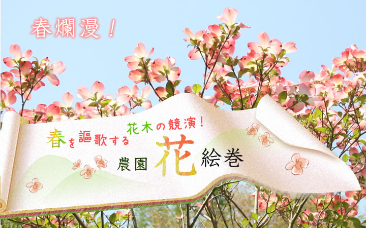 農園花絵巻