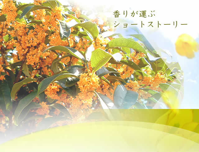 香りがはこぶショートストーリー