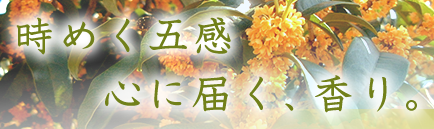 時めく五感 心に届く、香り