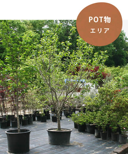 POT物エリア
