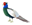 キジ