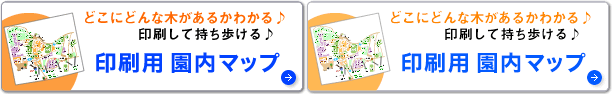 印刷用園内マップ
