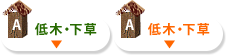 低木・下草