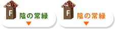 陰の常緑