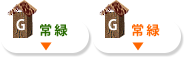 常緑