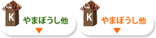 やまぼうし他