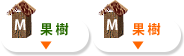 果樹