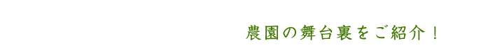 舞台裏をご紹介！