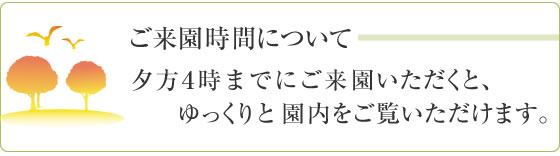 ご来園時間について