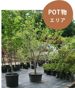 POT物エリア