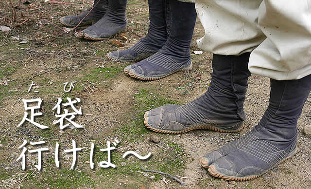 足袋行けば～