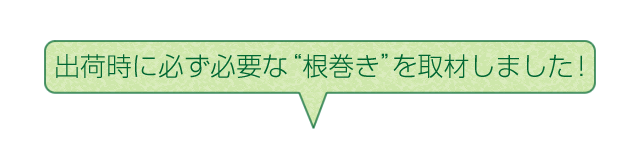 取材しました