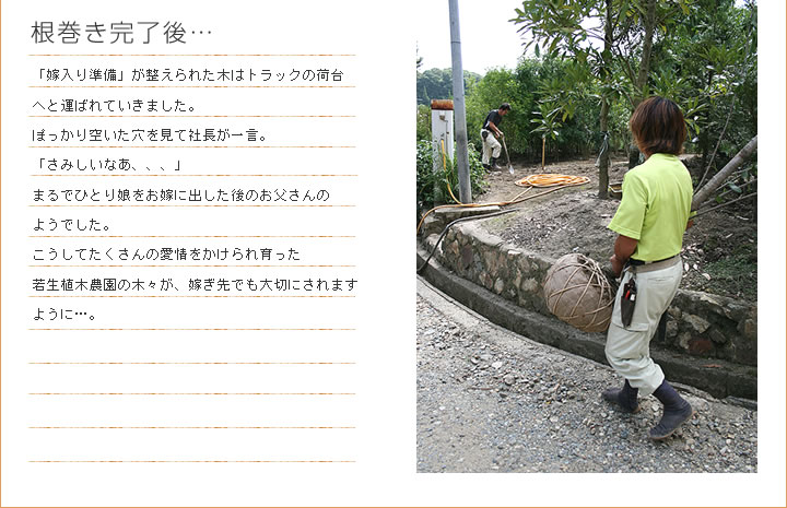 根巻き完了後