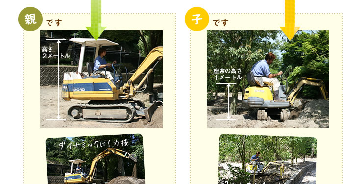 親と子の違いとは？