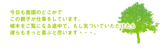 親子の活躍をぜひ見にいらしてください