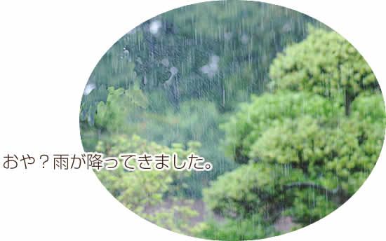 雨が降ってきた
