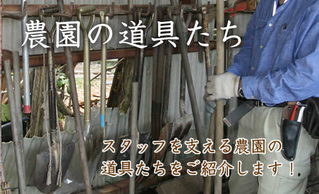 農園の道具たち