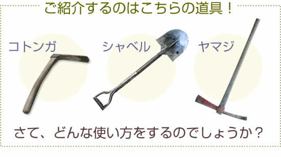 ご紹介するのはこちらの道具