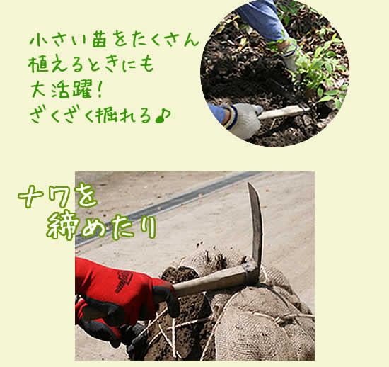 ナワを締めたり