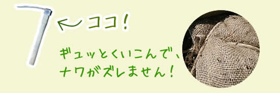 ギュッとくいこんで