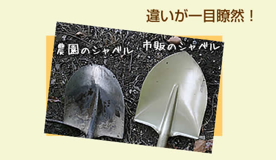 違いが一目瞭然