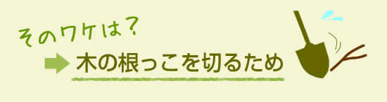 木の根っこを切るため