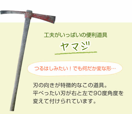ヤマジ