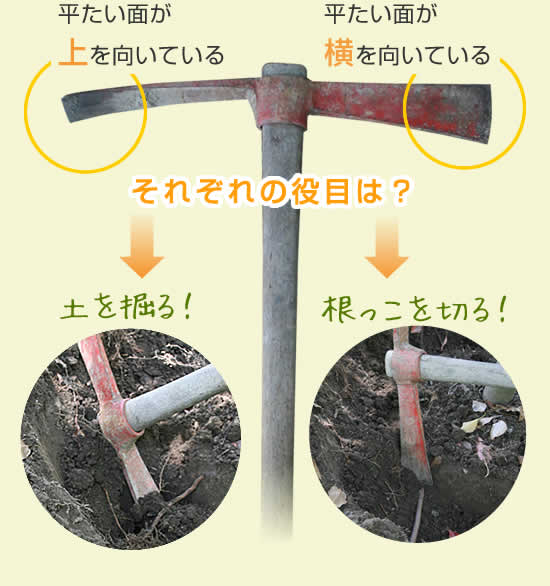 それぞれの役目は