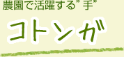 農園で活躍する手 コトンガ