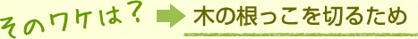 そのワケは？木の根っこを切るため