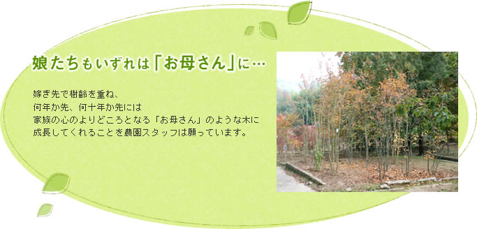 娘たちもいずれお母さんに