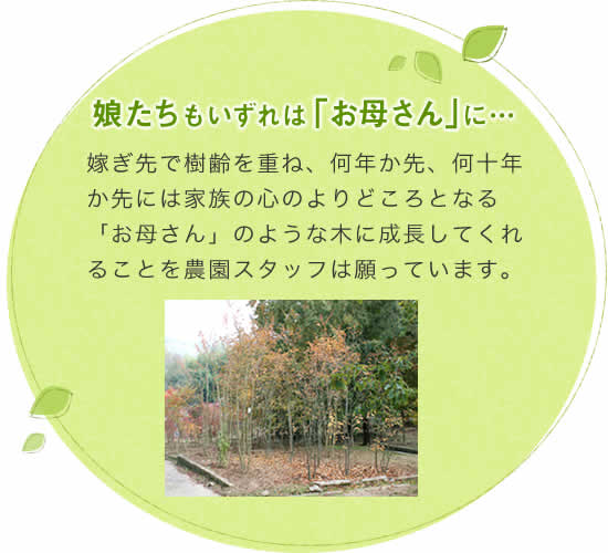 娘たちもいずれお母さんに