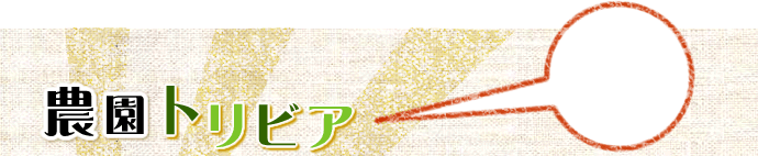農園トリビア