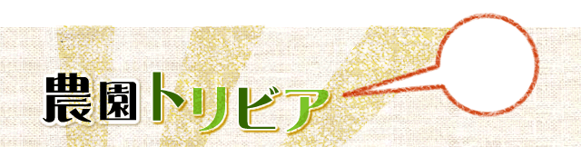 農園トリビア