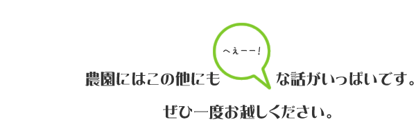 農園には他にもトリビアがいっぱいです