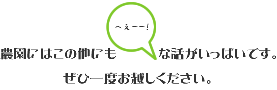 農園には他にもトリビアがいっぱいです