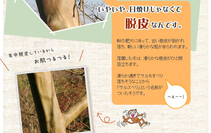日焼けじゃなくて脱皮なんです