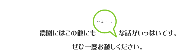 農園には他にもトリビアがいっぱいです