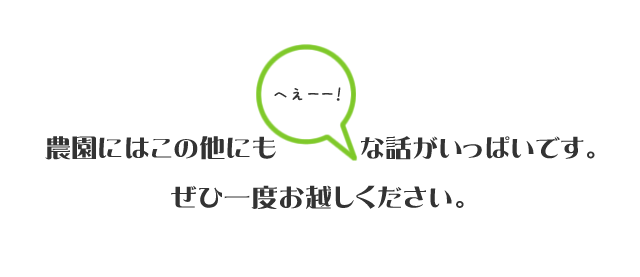 農園には他にもトリビアがいっぱいです