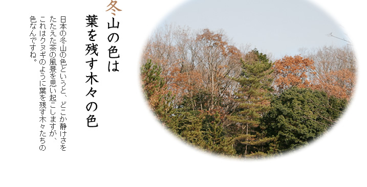 冬山の色は葉を残す木々の色