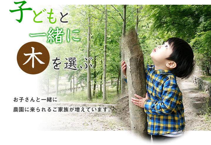 子どもと一緒に木を選ぶ