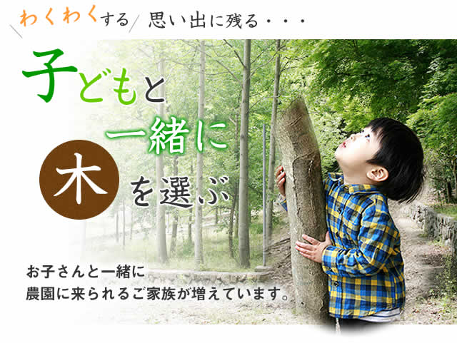 子どもと一緒に木を選ぶ