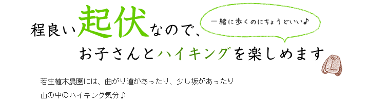 お子さんとハイキングを楽しめます