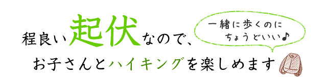 お子さんとハイキングを楽しめます