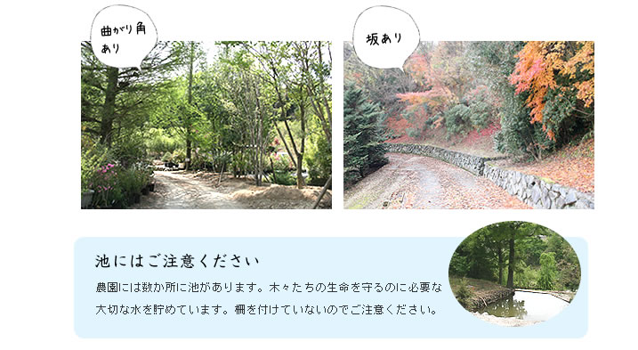 曲がり角あり、坂あり 池にはご注意ください