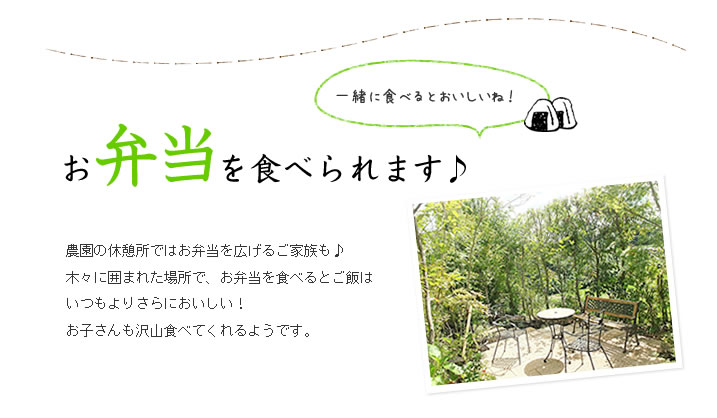 お弁当を食べられます♪
